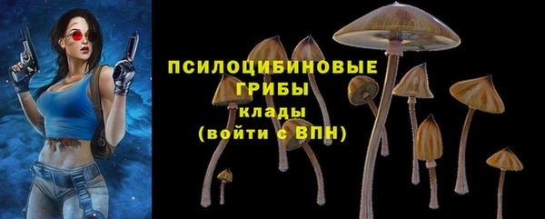 ПСИЛОЦИБИНОВЫЕ ГРИБЫ Алексеевка