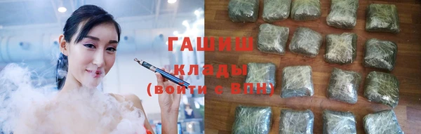 хмурый Алексин