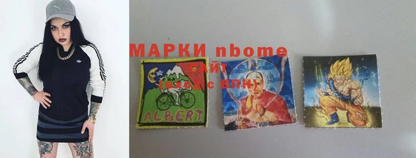 хмурый Алексин
