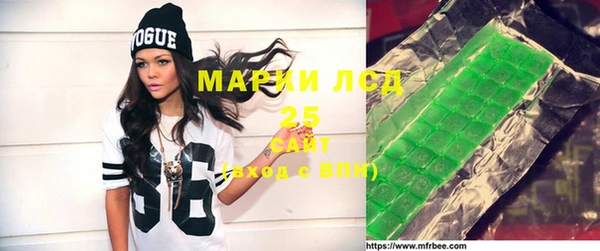 хмурый Алексин