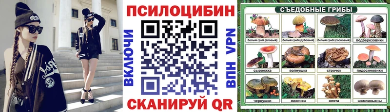 Псилоцибиновые грибы MAGIC MUSHROOMS  где найти наркотики  blacksprut рабочий сайт  Чкаловск 